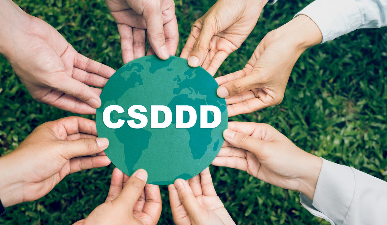 Diligencia Debida: CSDDD, Sostenibilidad y Gestión de Riesgos