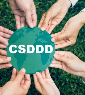 Diligencia Debida: CSDDD, Sostenibilidad y Gestión de Riesgos